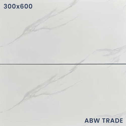 Jazz White (L529) – 300x600 mm Glossy Finish Porcelain Tile