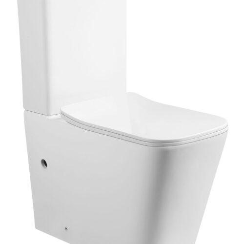 Rimless Two Piece Toilet (LE-8303D)