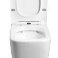 Rimless Two Piece Toilet (LE-8303D)