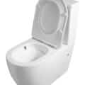 ONE HOLE Tornado Quiet Two Piece Toilet (LE-8301)