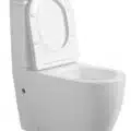 ONE HOLE Tornado Quiet Two Piece Toilet (LE-8301)